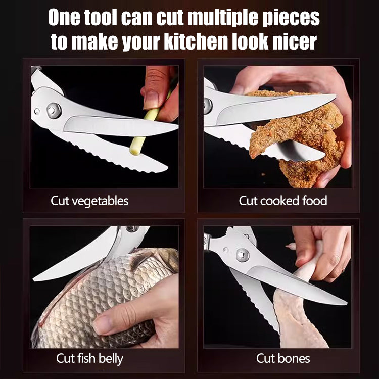6695815667b81.jpg